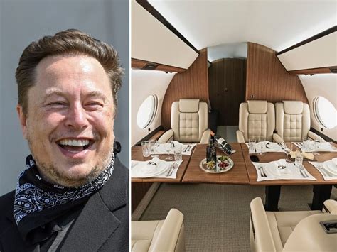 elon musk's jet